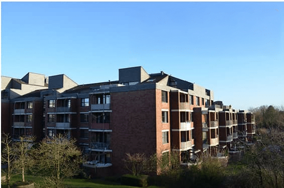 Screenshot 2025-05-14 at 9.57.26 PM_1